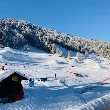 Apartment In Morzine - Ski In - Sleeps 6 Eksteriør billede